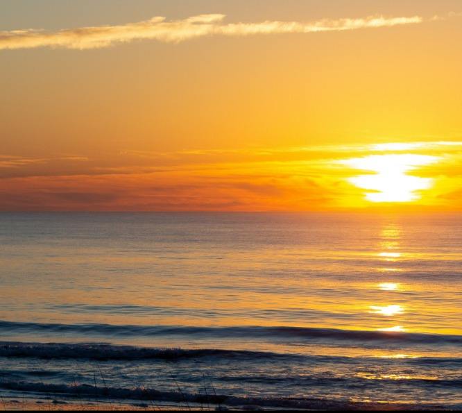 Gold Beach yaz atmosferi
